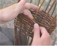 Kuva havainnollistaa amppelin punonnan edistymistä. 